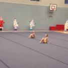 Наши гимнастки