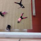 "Морские звёзды"